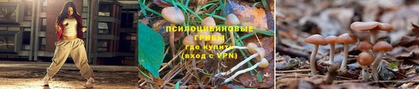 тгк Коряжма